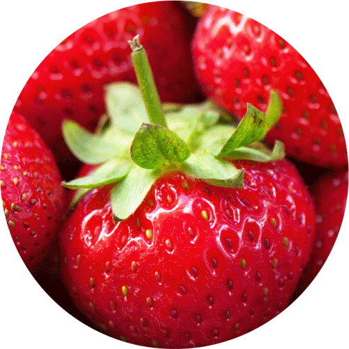 Indulge in the Fresh Strawberry Collection