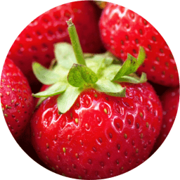Fresh Strawberry