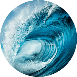 Ocean & Coconut