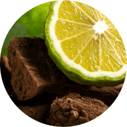 Oud & Bergamot