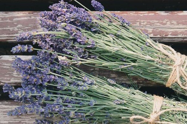 Our 8 Top Reasons to Love Lavender - Salt of the Earth Natural Deodorants