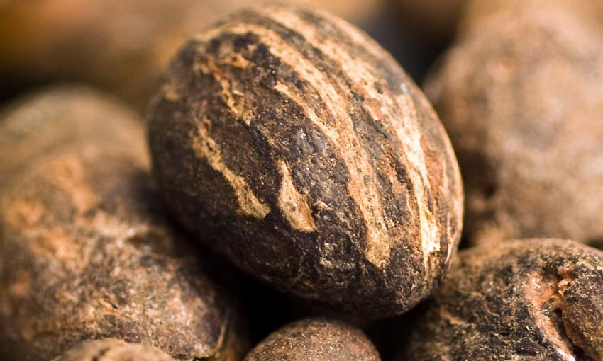 Ingredient Spotlight: What Makes Shea Butter So Special for Your Skin?