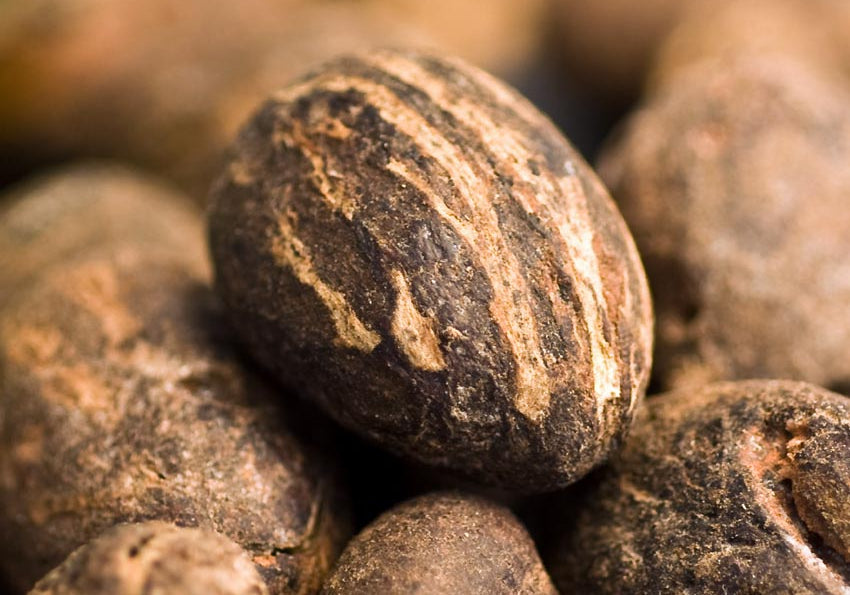 Ingredient Spotlight: What Makes Shea Butter So Special for Your Skin?