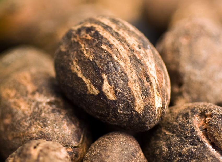 Ingredient Spotlight: What Makes Shea Butter So Special for Your Skin?