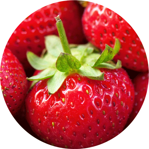 Sweet Strawberry