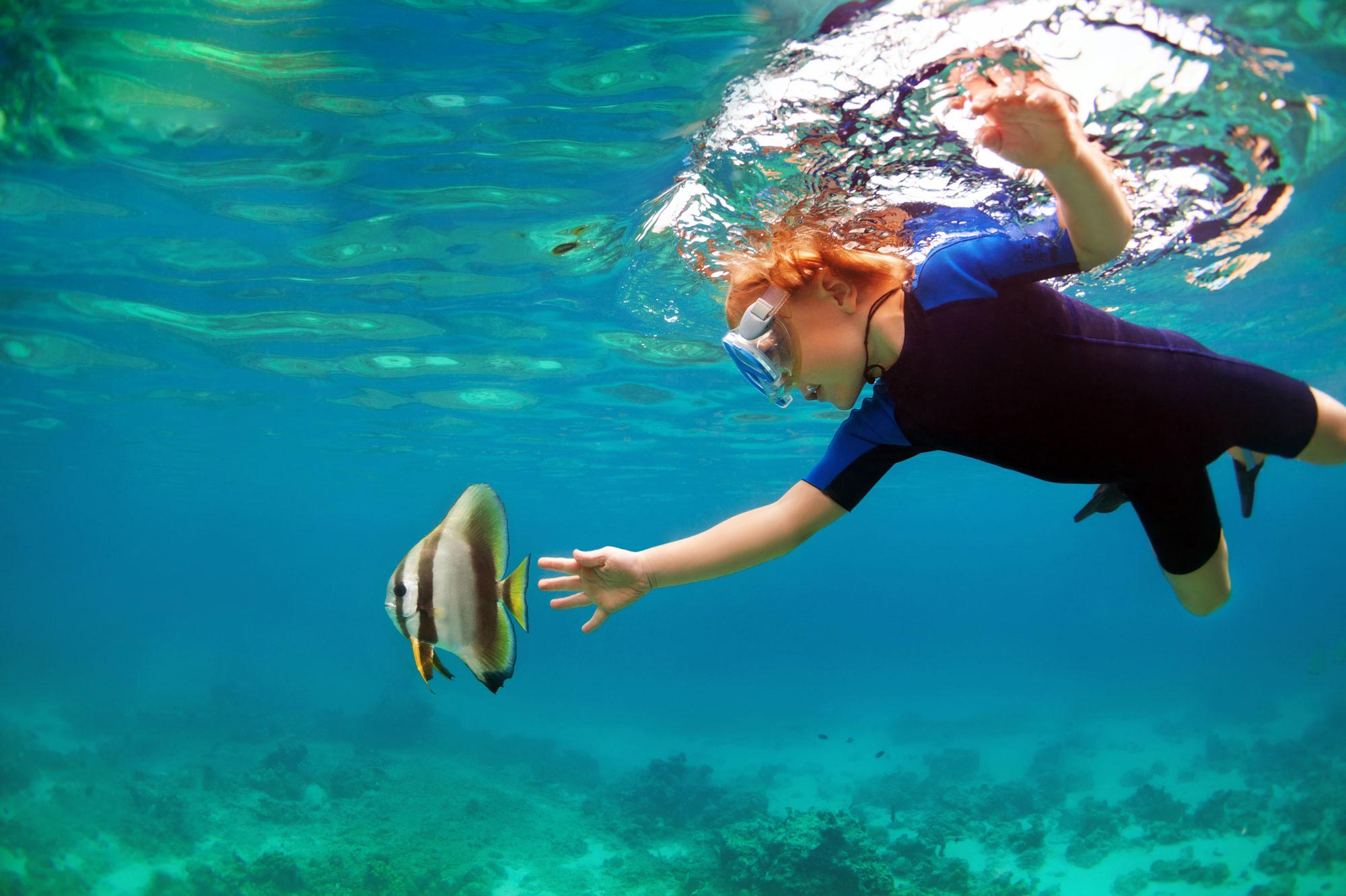 child snorkelling in the sea, reaching out to touch a fish