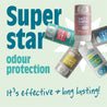 Unscented Deodorant Stick - Salt of the Earth Natural Deodorants